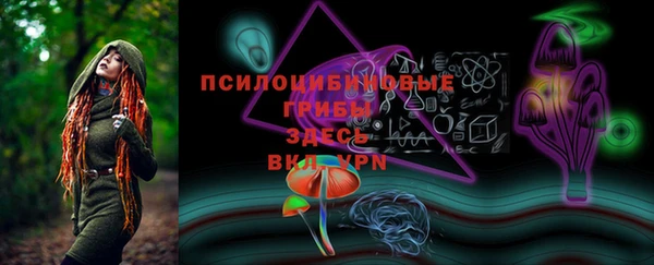 индика Балабаново