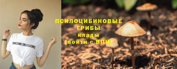 индика Балабаново