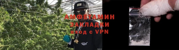 индика Балабаново