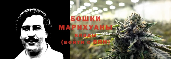 индика Балабаново