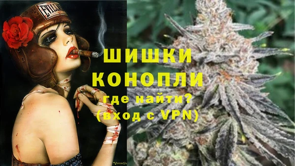 индика Балабаново