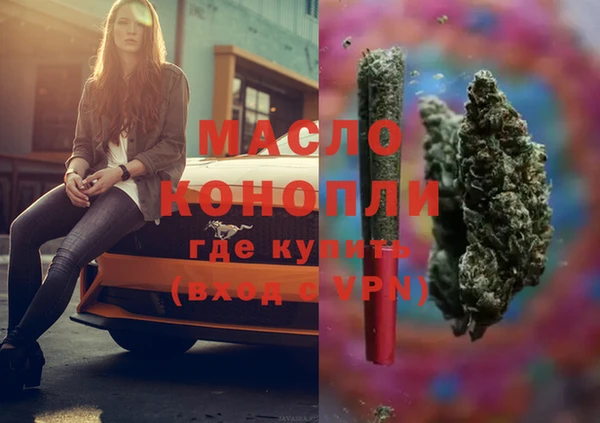 индика Балабаново