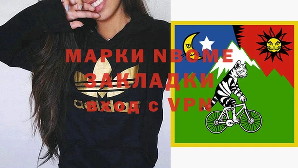 индика Балабаново